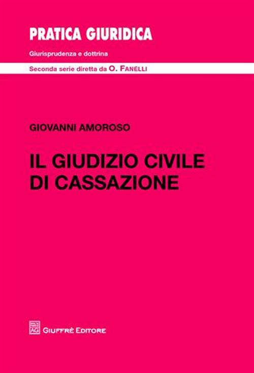 Il giudizio civile di Cassazione