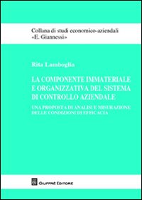 La componente immateriale e organizzativa del sistema di controllo aziendale. Una proposta di analisi e misurazione delle condizioni di efficacia