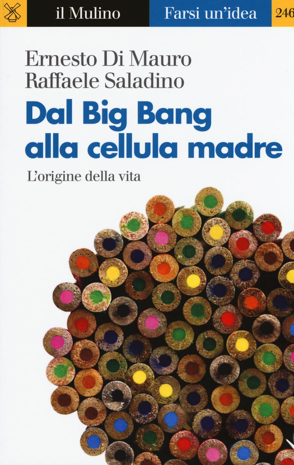 Dal Big Bang alla cellula madre. L'origine della vita