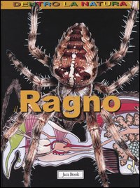 Il ragno
