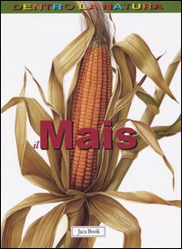 Il mais
