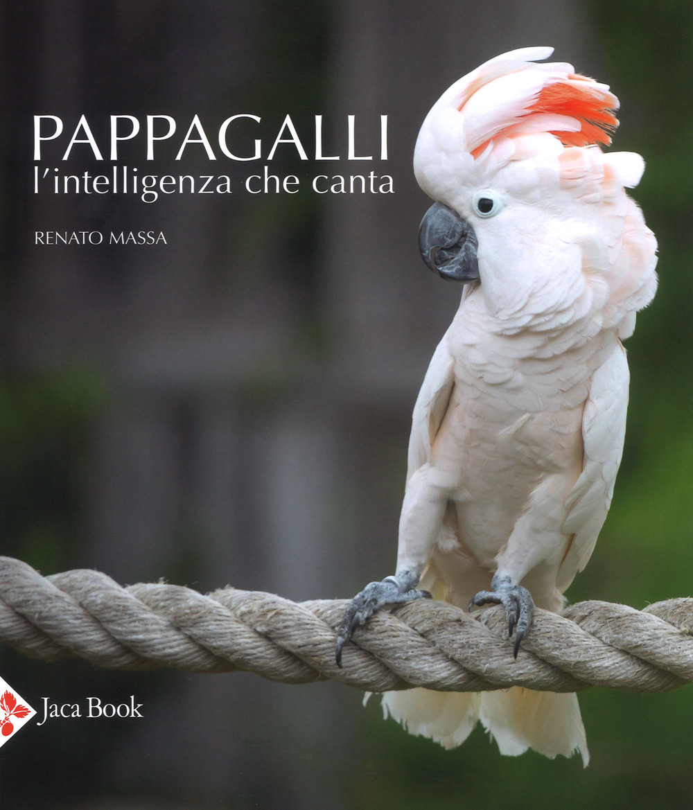 Pappagalli. L'intelligenza che canta