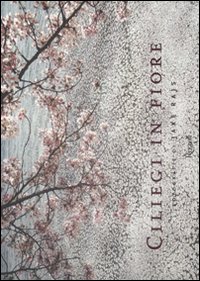 Ciliegi in fiore