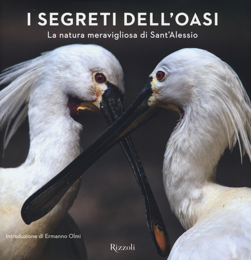 I segreti dell'Oasi. La natura meravigliosa di Sant'Alessio