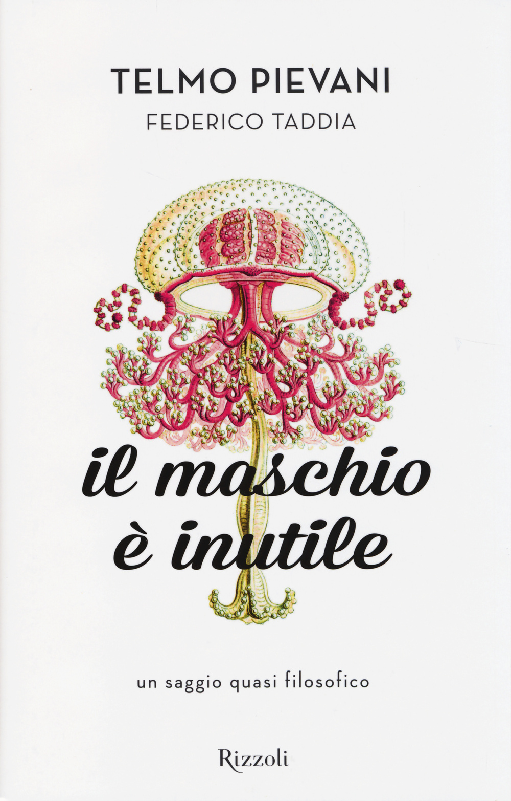 Il maschio è inutile. Un saggio quasi filosofico