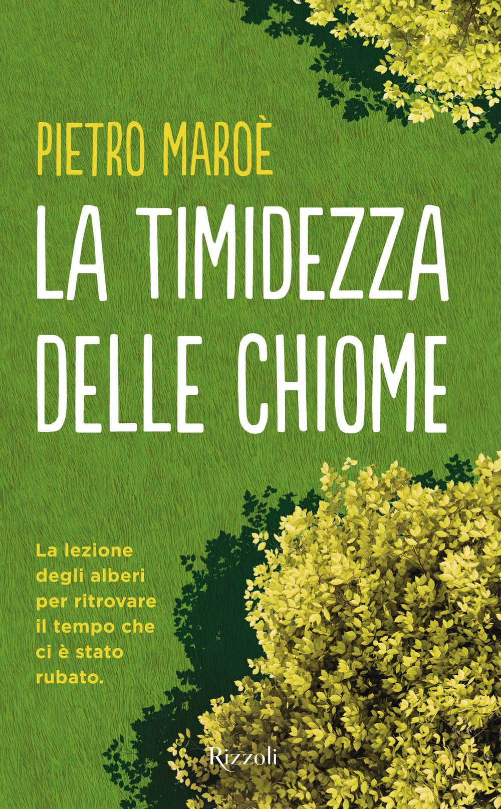 La timidezza delle chiome