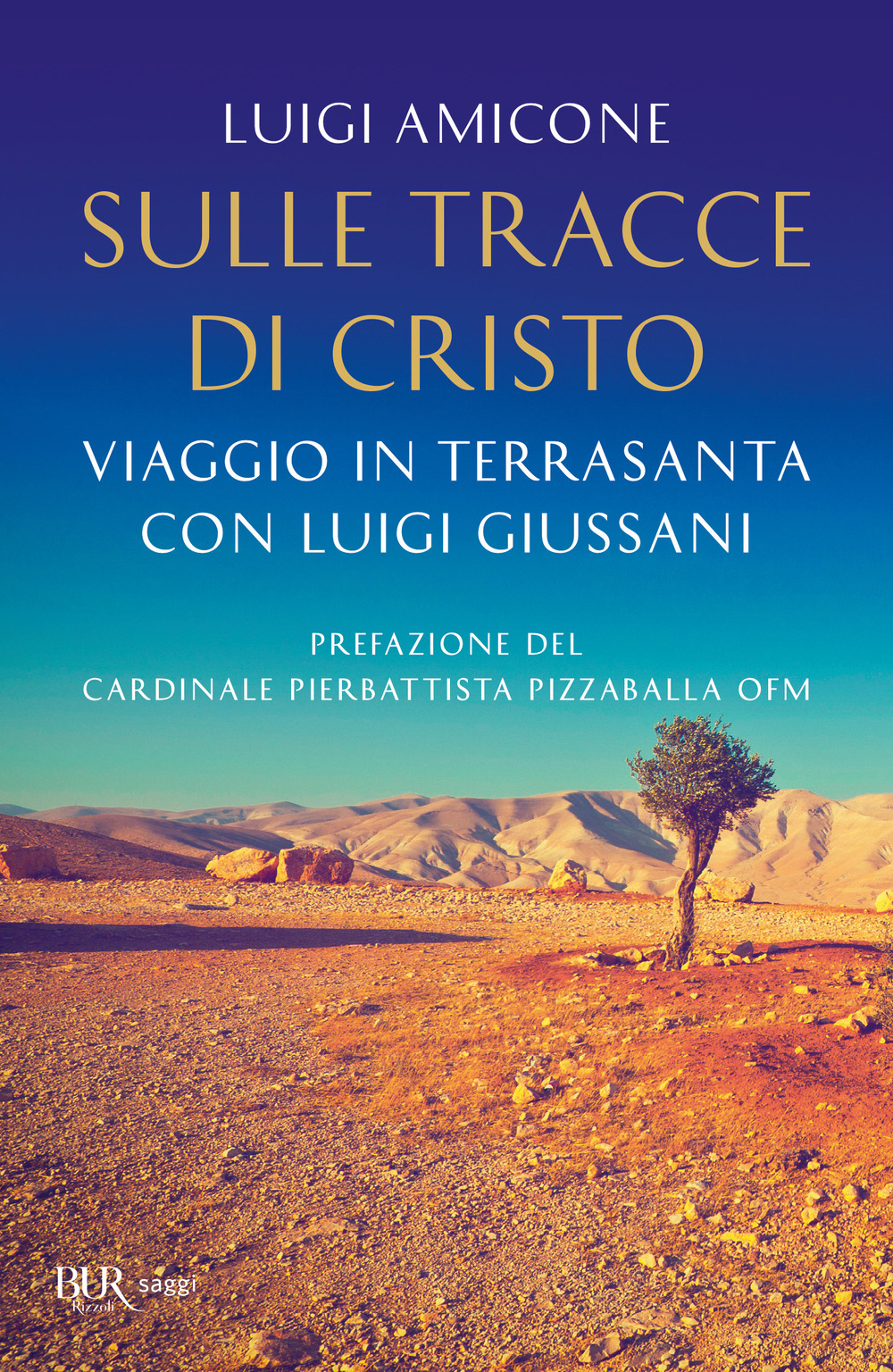Sulle tracce di Cristo. Viaggio in Terrasanta con Luigi Giussani