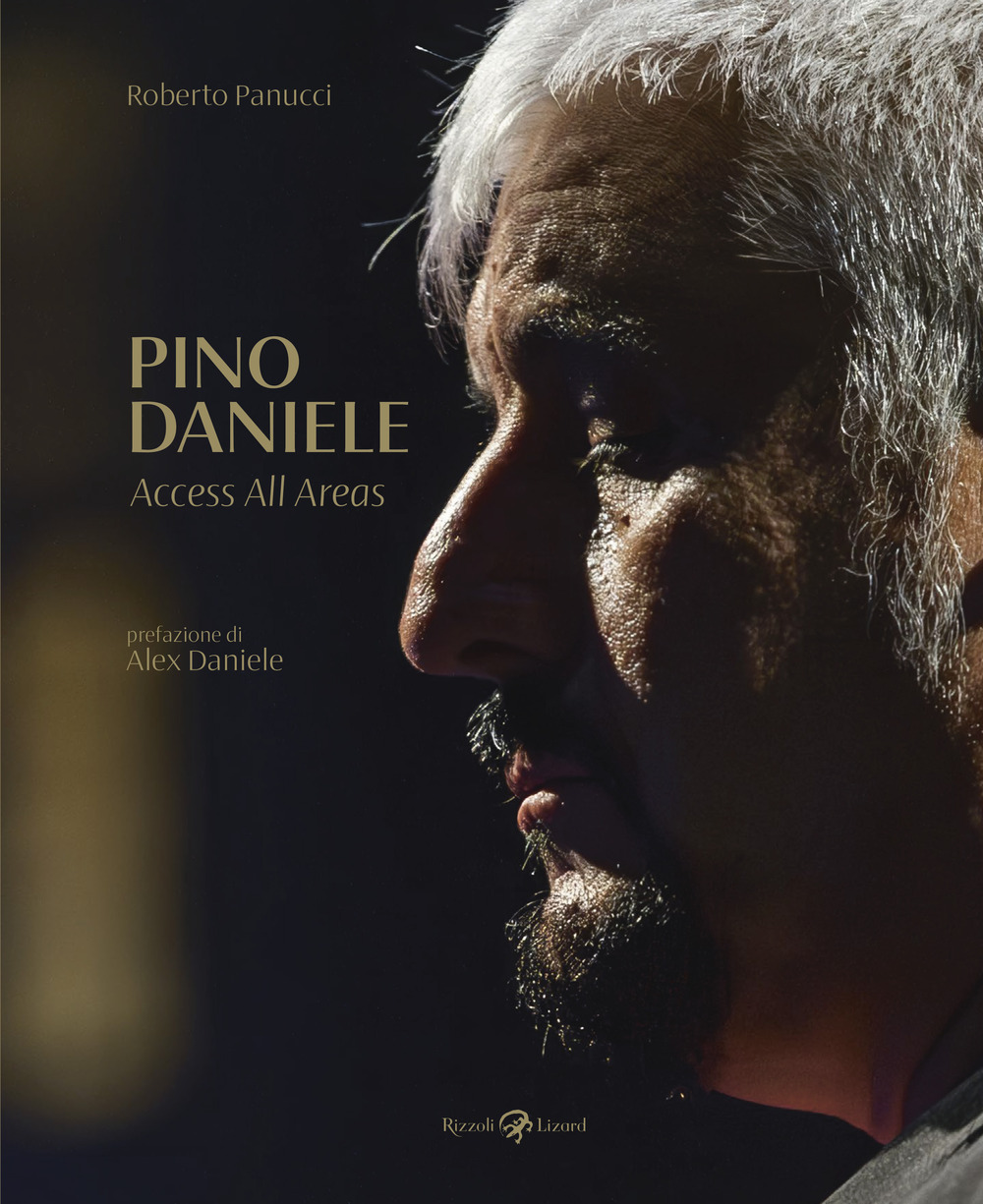 Pino Daniele. Access all areas