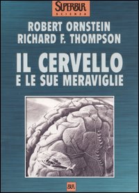 Il cervello e le sue meraviglie
