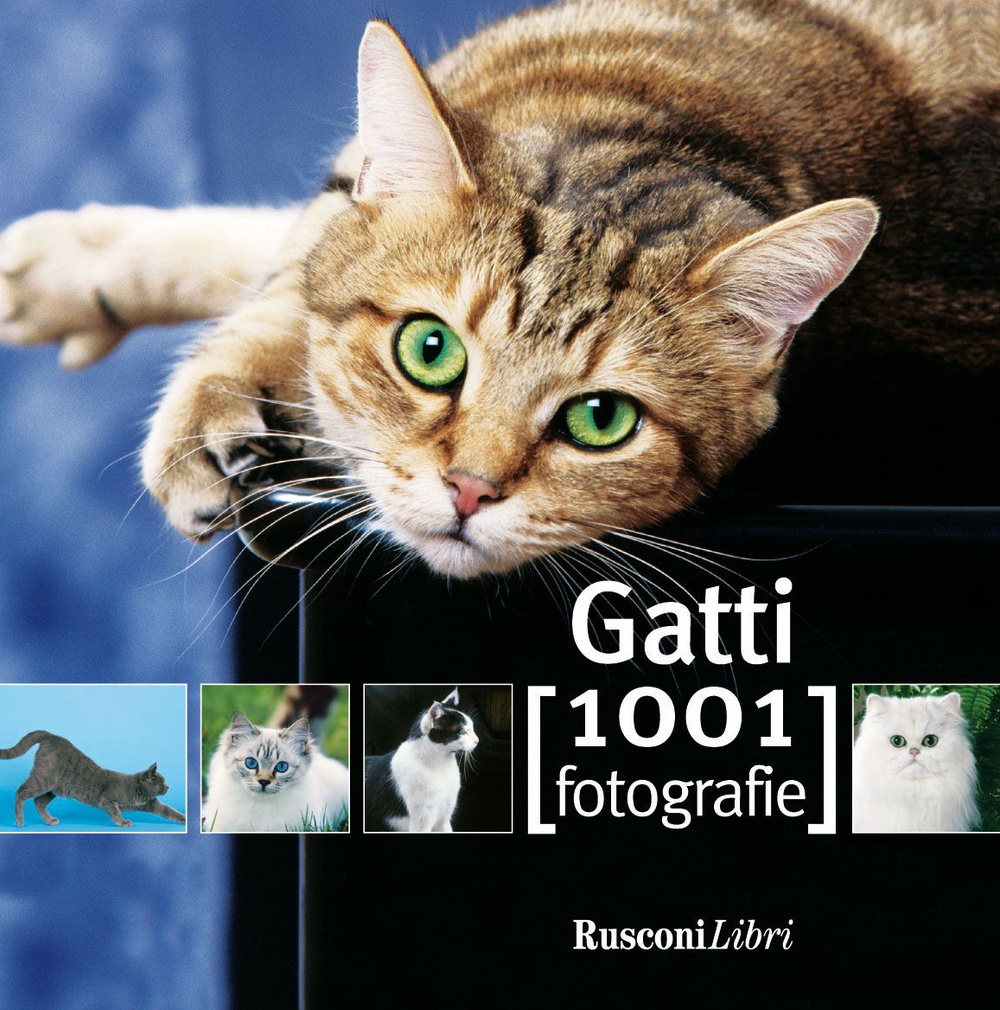 I gatti