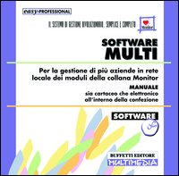 Software multi-monitor