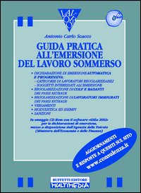 Emersione lavoro sommerso