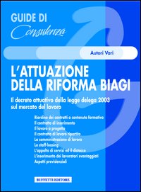 Attuazione della riforma Biagi