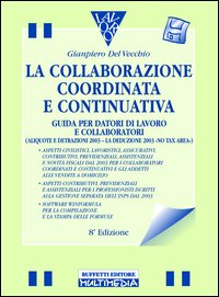 La collaborazione coordinata e continuativa