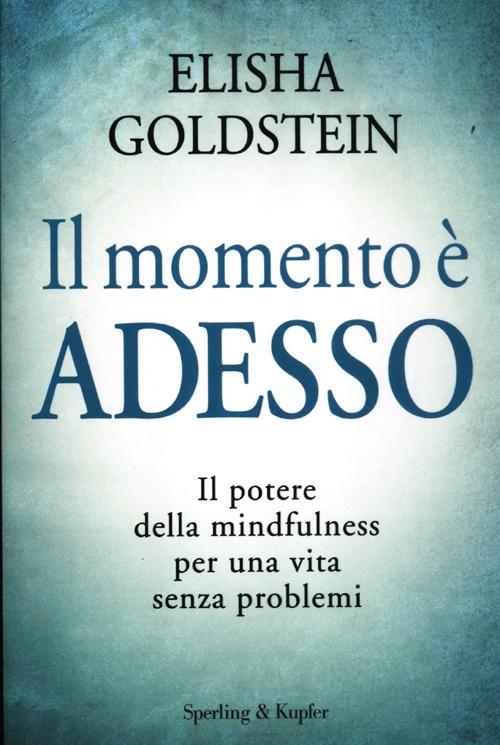 Il momento è adesso. Il potere della mindfulness per una vita senza problemi