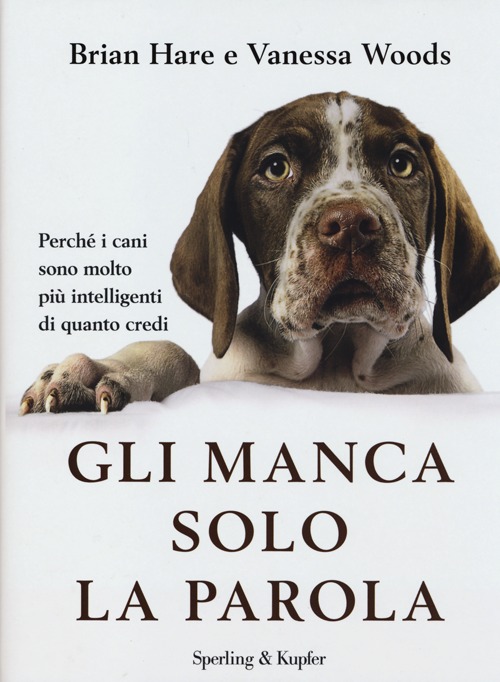 Gli manca solo la parola. Perché i cani sono molto più intelligenti di quanto credi