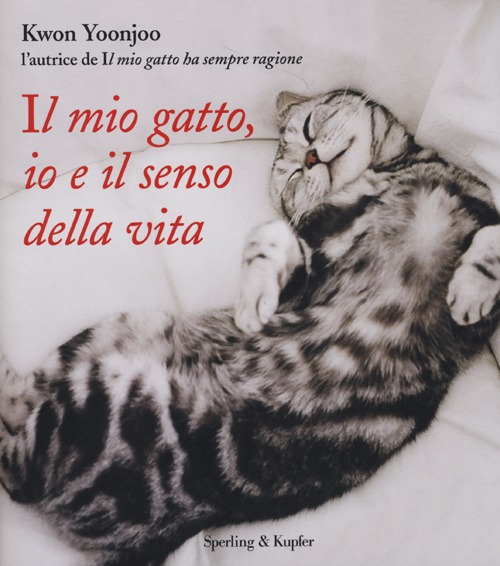 Il mio gatto, io e il senso della vita