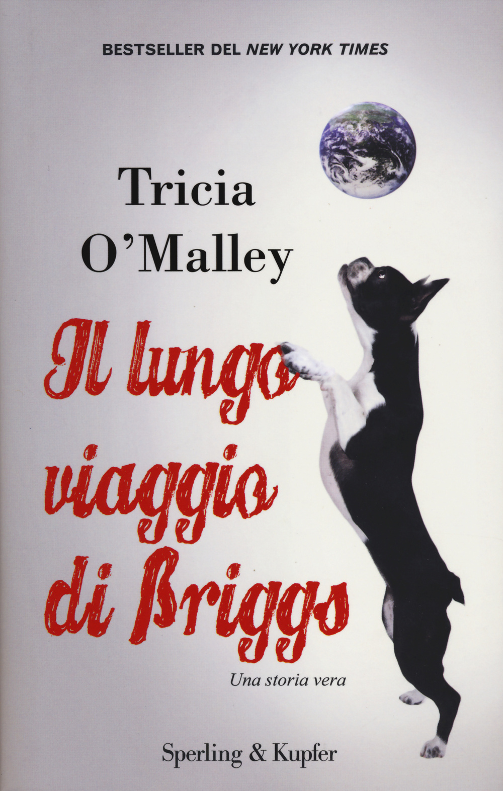 Il lungo viaggio di Briggs