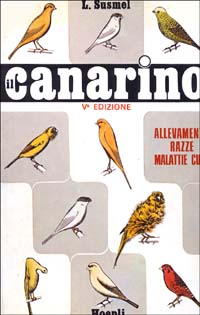 Il canarino
