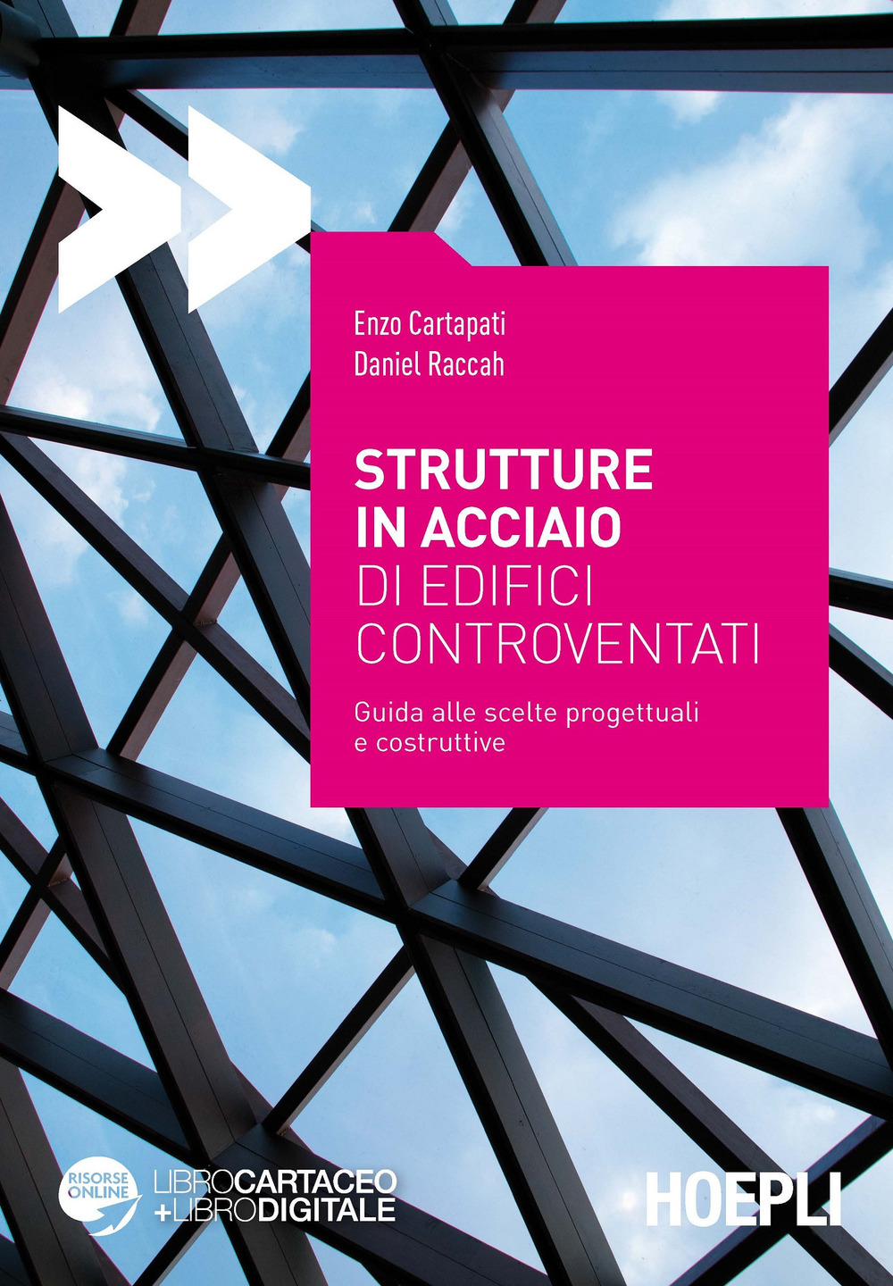 Strutture in acciaio di edifici controventati. Guida alle scelte progettuali e costruttive