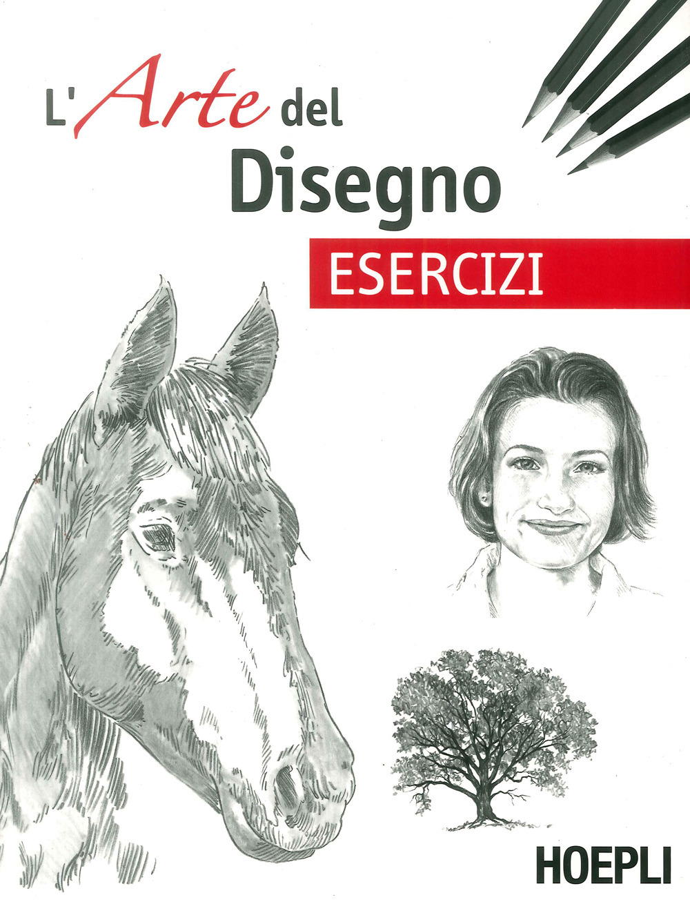 Esercizi. L'arte del disegno