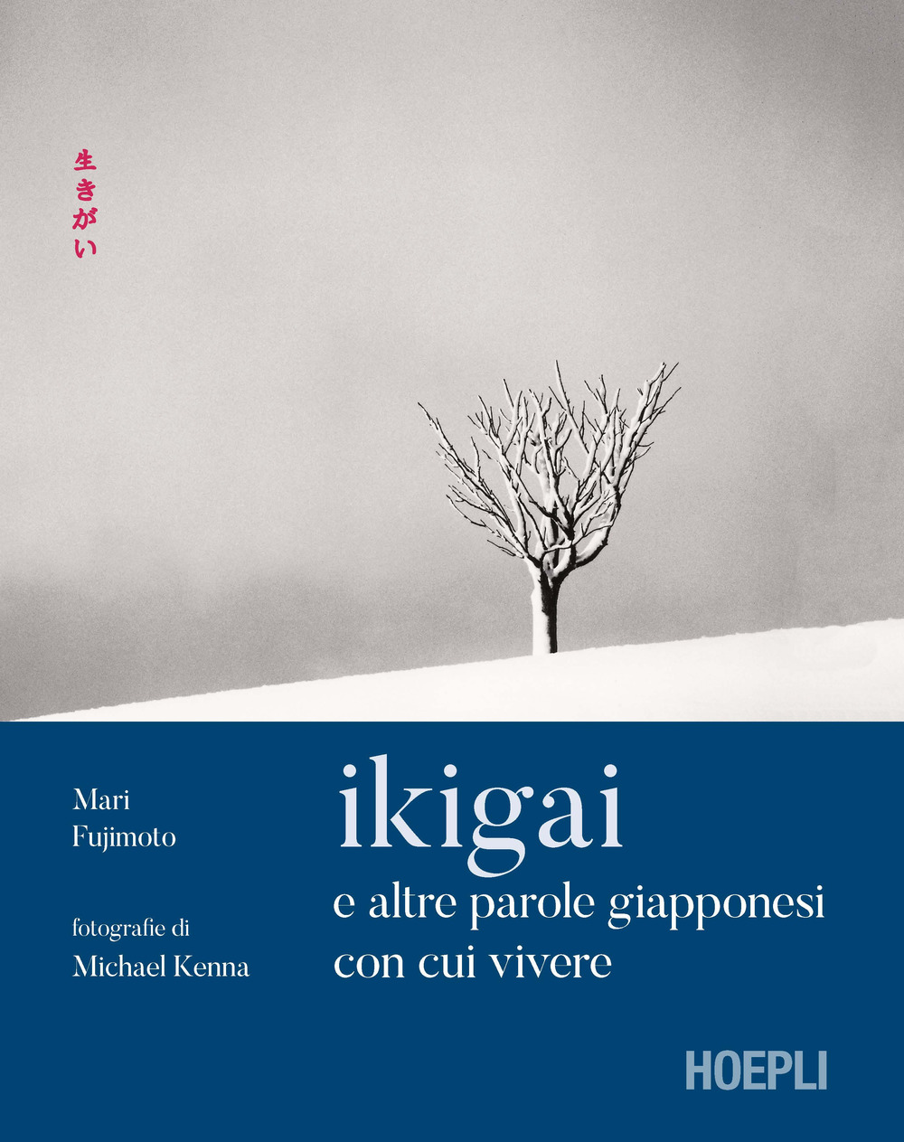 Ikigai e altre parole giapponesi con cui vivere