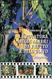 La potatura degli alberi da frutto e dell'olivo