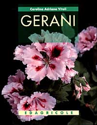 Gerani