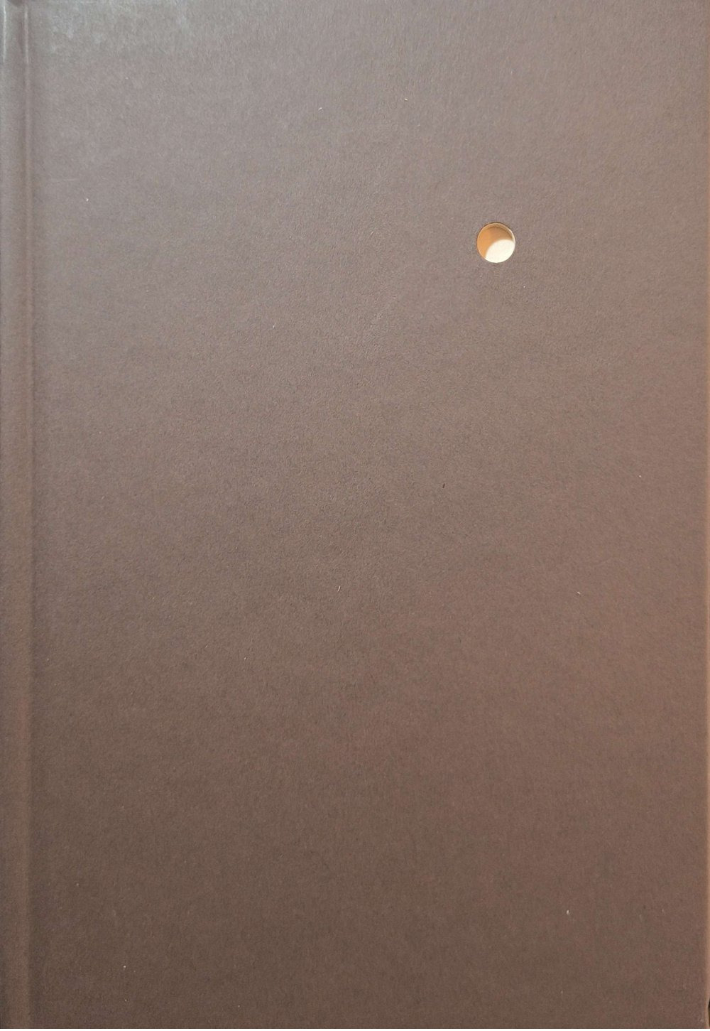 Agenda 2026: i nemici del libro secondo Gaetano Volpi. Ediz italiana e inglese