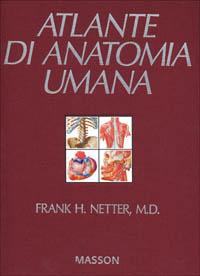 Atlante di anatomia umana