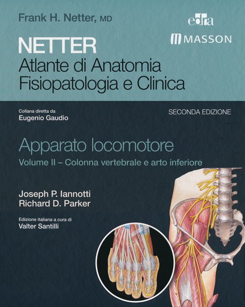 Netter. Atlante di anatomia. Fisiopatologia e clinica. Apparato locomotore. Vol. 2: Colonna vertebrale e arto inferiore