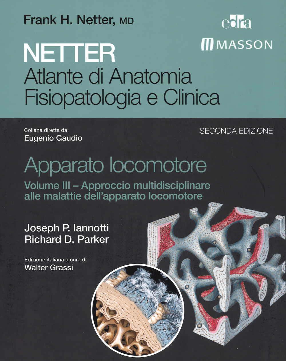 Netter. Atlante di anatomia fisiopatologia e clinica. Apparato locomotore. Vol. 3: Approccio multidisciplinare alle malattie dell'apparato locomotore