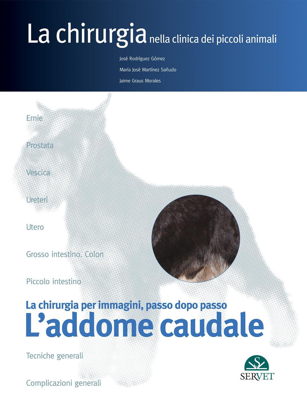 L'addome caudale. La chirurgia per immagini, passo dopo passo
