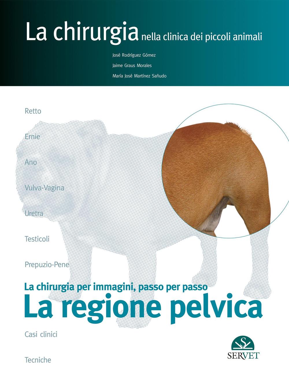 La regione pelvica. La chirurgia per immagini, passo dopo passo