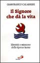 Il Signore che dà la vita. Identità e missione dello Spirito Santo