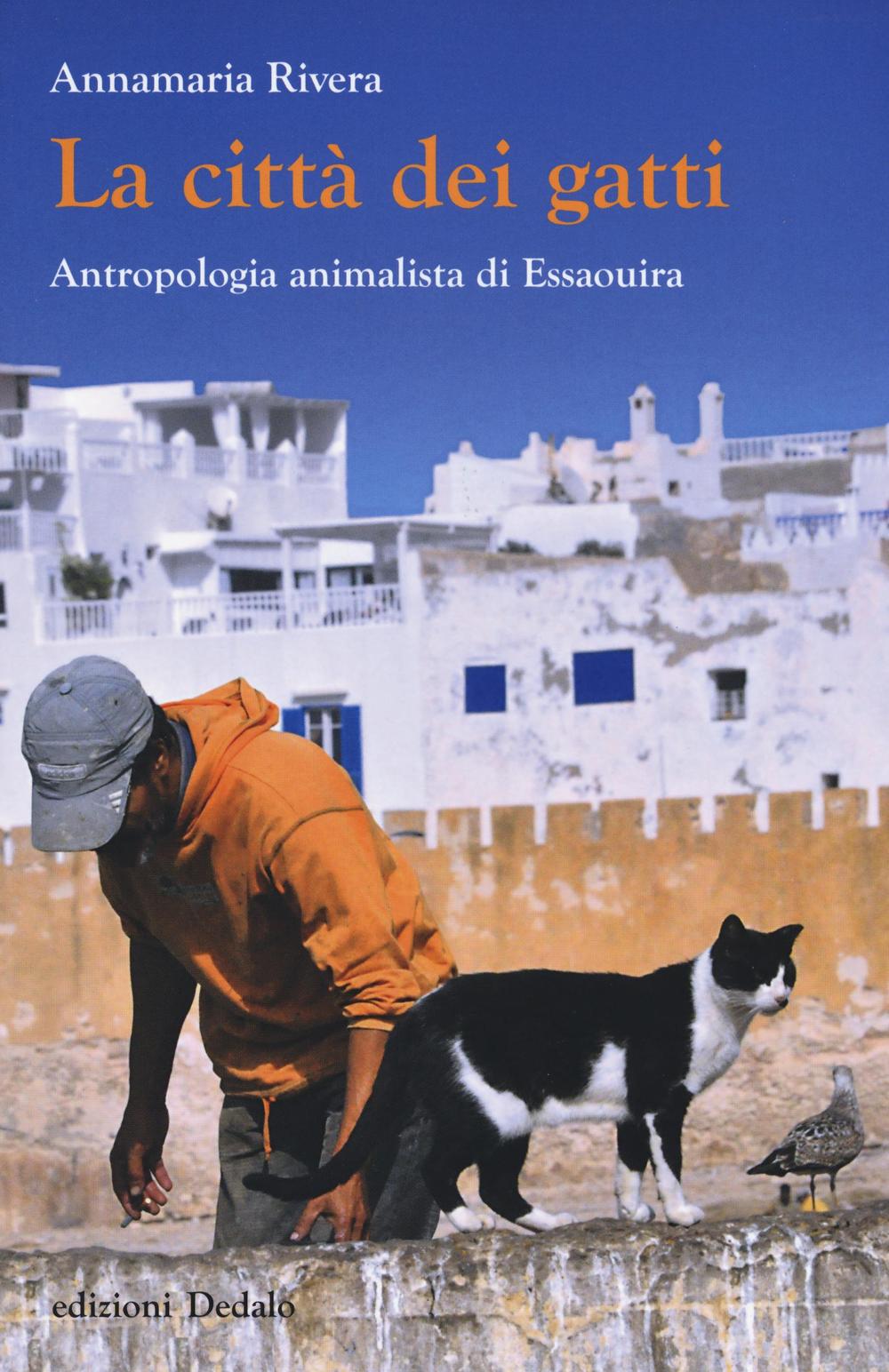 La città dei gatti. Antropologia animalista di Essaouira