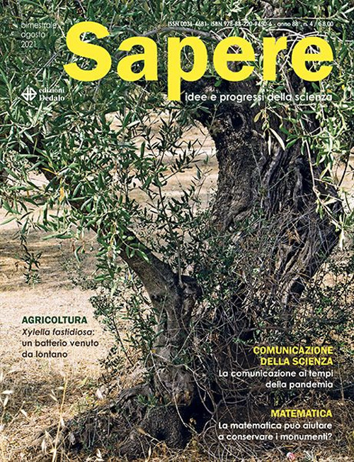 Sapere. Idee e progressi della scienza. Vol. 4