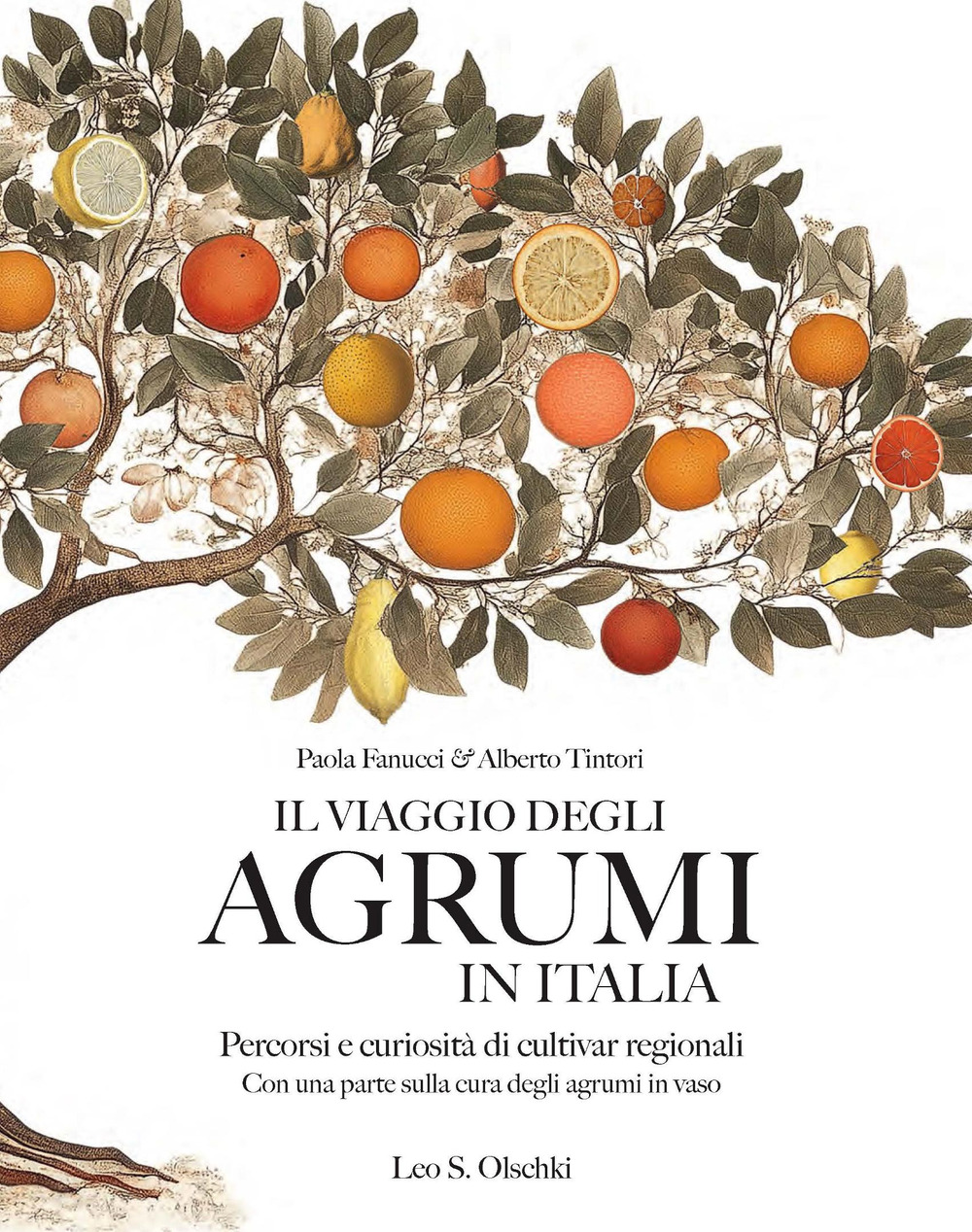 Il viaggio degli agrumi in Italia. Percorsi e curiosità di cultivar regionali. Con una parte sulla cura degli agrumi in vaso