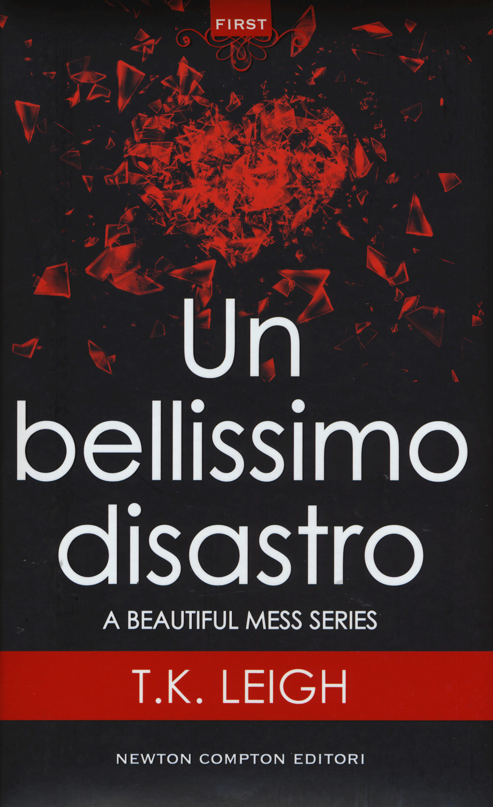 Un bellissimo disastro. A beautiful mess series