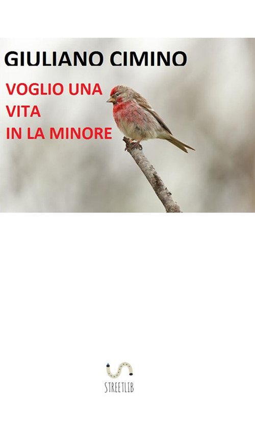 Voglio una vita in la minore