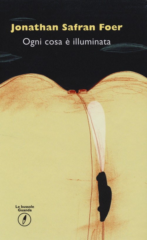 Ogni cosa è illuminata