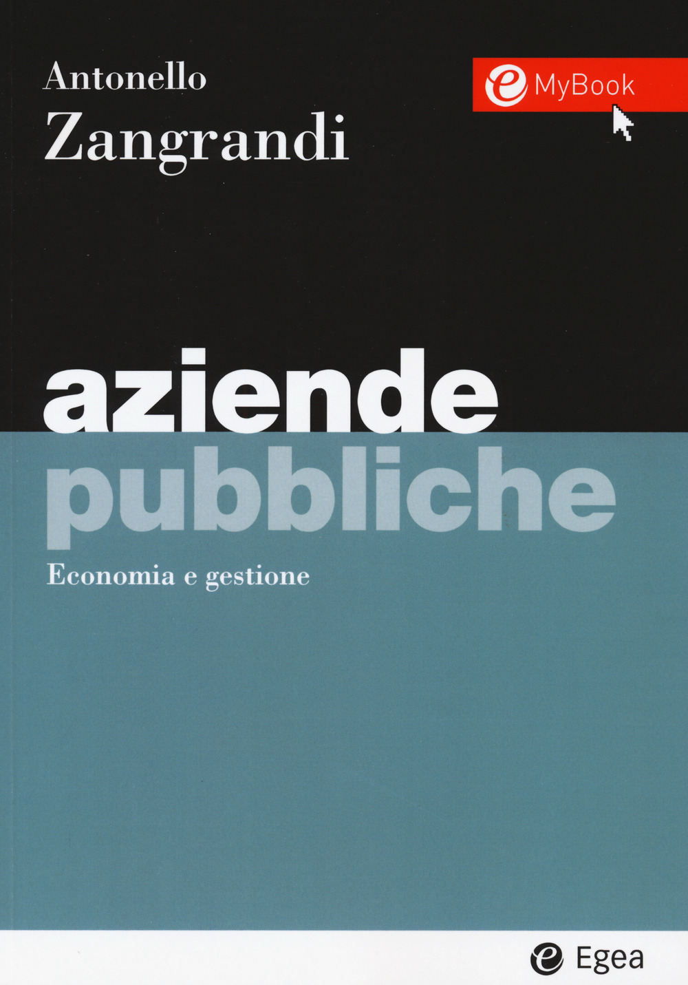 Aziende pubbliche. Economia e gestione