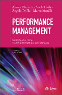 Performance management. Controllo di gestione: modelli e strumenti per competere oggi