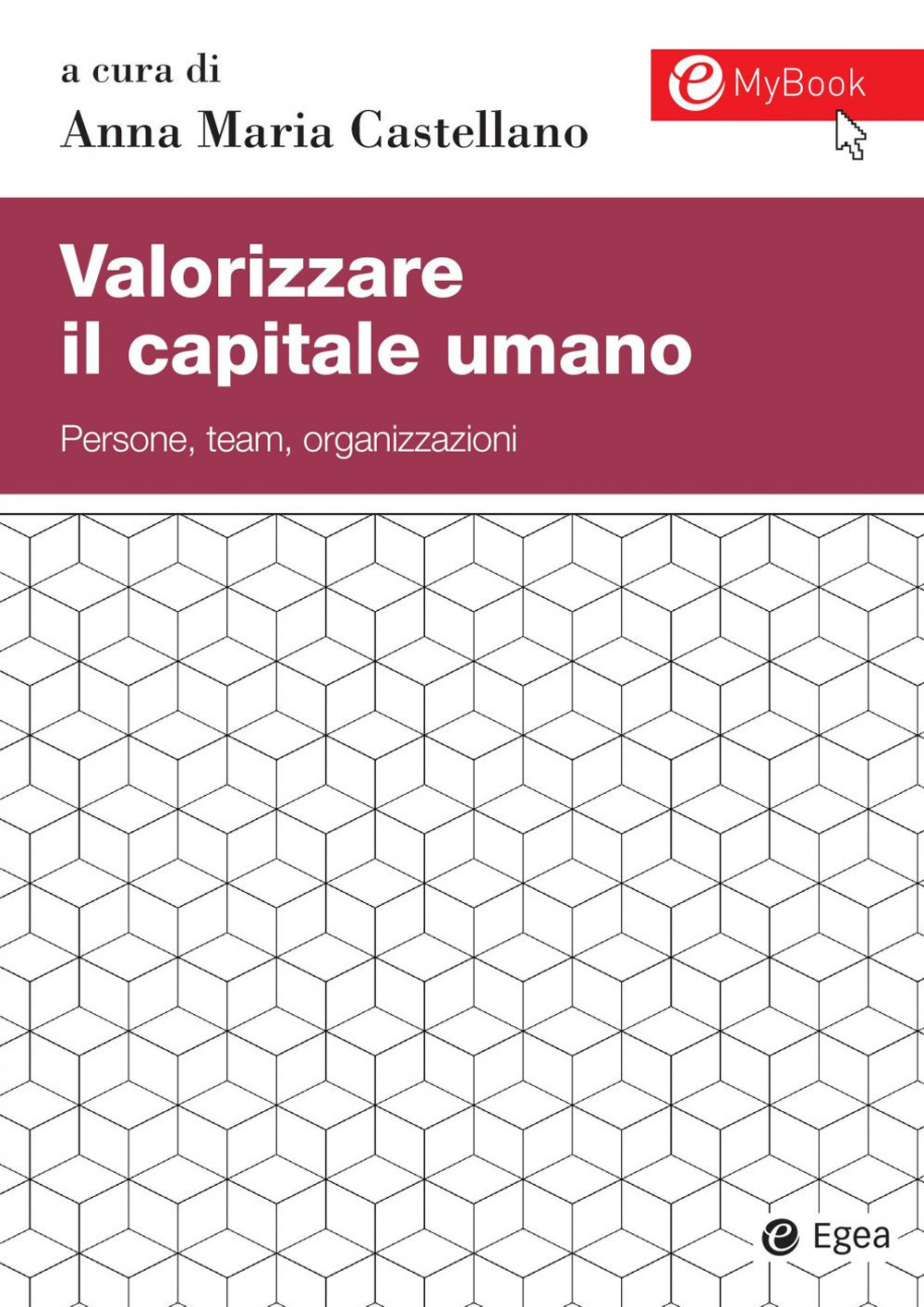 Valorizzare il capitale umano. Persone, team, organizzazioni
