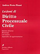 Lezioni di diritto processuale civile