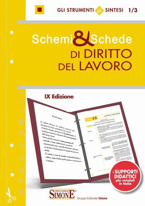 Schemi & schede di diritto del lavoro