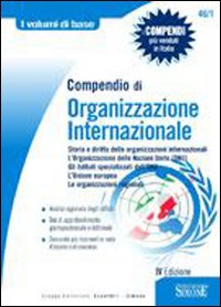 Compendio di organizzazione internazionale