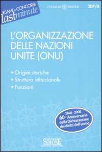 L'Organizzazione delle Nazioni Unite (ONU)