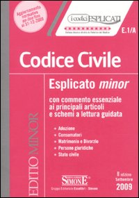 Codice civile esplicato