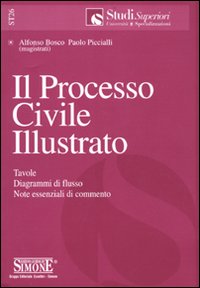 Il processo civile illustrato